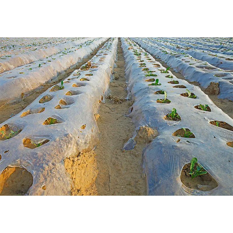Tarım plastik film
